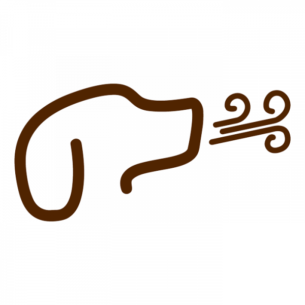 Piktogramm Atmung beim Hund